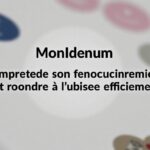 MonIdenum : Comprendre son fonctionnement et apprendre à l'utiliser efficacement