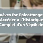 Histovec Gratuit : Guide Pratique pour Accéder à l'Historique Complet d'un Véhicule